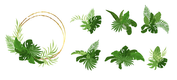 Set of a golden round frame with a composition of tropical leaves and different compositions to change. Background for wedding, invitation and parties.