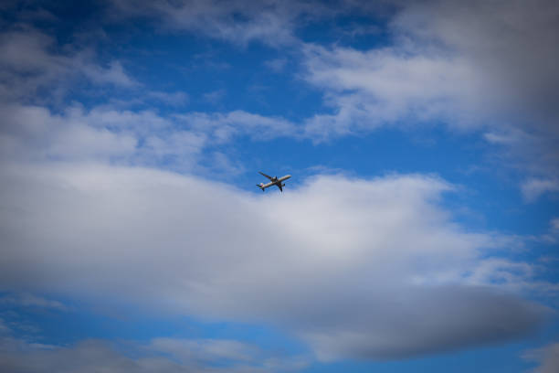 Sydney, Australia - May 20, 2023: Japan Airlines aircraft on blue sky.