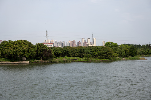 The trees by the river and the city skyscrapers in the distance