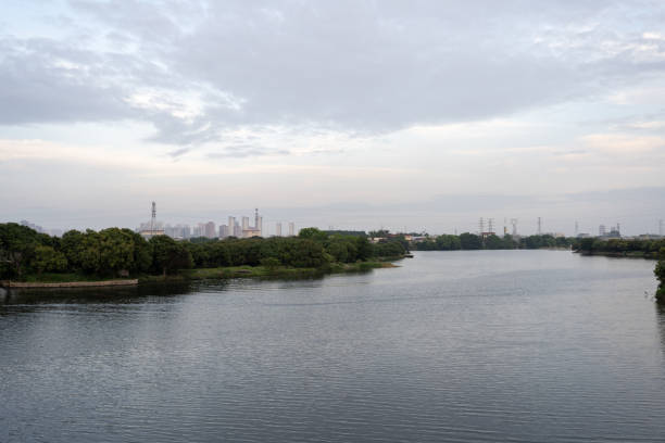 istock The trees by the river and the distant city 1493655194