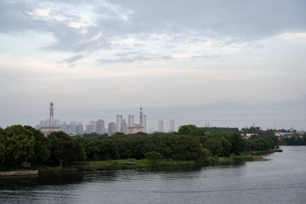 The trees by the river and the distant city