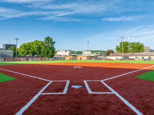 istock Martin Luther King Jr Field 1493658783