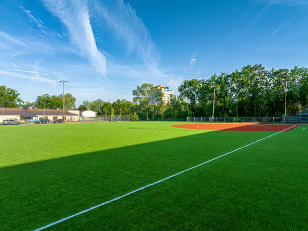 istock Martin Luther King Jr Field 1493659452