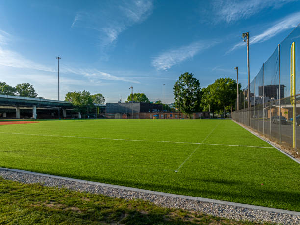 istock Martin Luther King Jr Field 1493661260