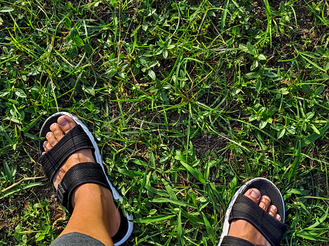 Close up view of man feet wearing black-white sandals on the green grass