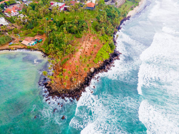 istock A Bird's-Eye View from Coconut Tree Hill, Sri Lanka 1493669732