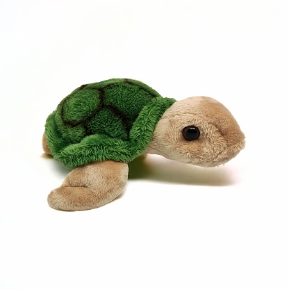 Turtle doll is green brown on a white background