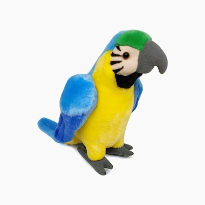 Soft toy parrot in blue and yellow on a white background