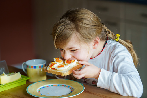 Little smiling girl have a breakfast at home. Preschool child eating sandwich with boiled eggs. Happy children, healthy food and meal