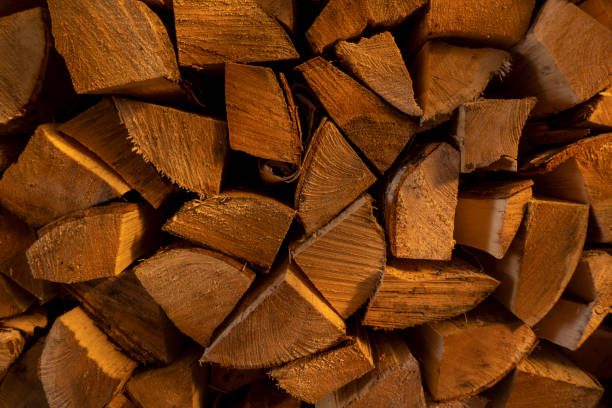 istock Log spruce trunks pile. Sawn trees from the forest. Logging timber wood industry. Cut trees along a road prepared for removal. 1493675580