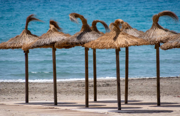 istock Parasol at beach against sea 1493676564