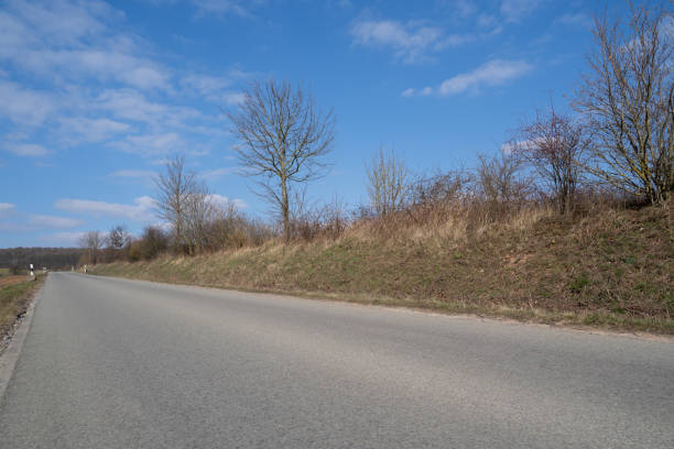 istock Asphalt road in the landscape with leafless trees and blue sky in spring 1493679556