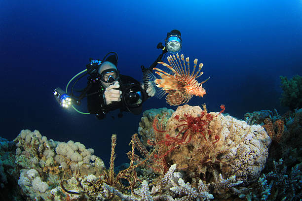 istock Underwater Photographer and Lionfish 149368029