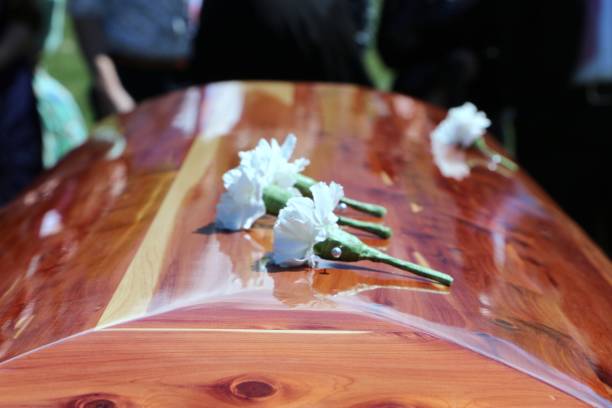 Pallbearers White Carnation Boutonnières Laid Atop Cedar Casket - Stock Image Bereavement of dear one laid to rest. Symbolic traditional moment of pallbearers leaving boutonnieres atop casket after cemetery procession. Feelings of sadness, grief, loss. funeral planning stock pictures, royalty-free photos & images