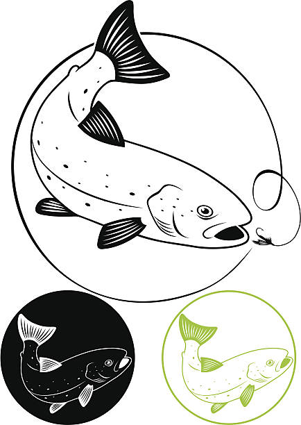ilustraciones, imágenes clip art, dibujos animados e iconos de stock de trucha de pescado - speckled trout illustrations