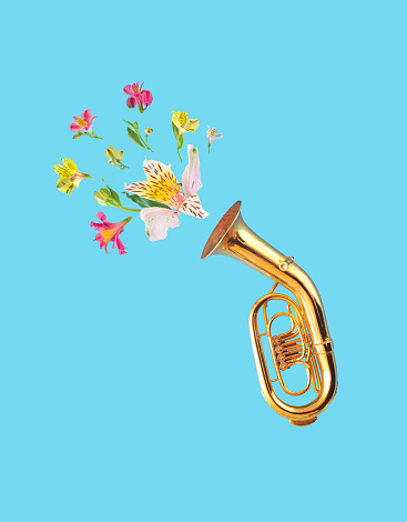 Beautiful natural pink and yellow lilies emerge from the tuba instrument and fly into the sky.