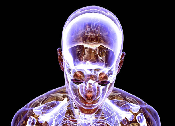 istock MRI Scanning of Human Torso 1493689924