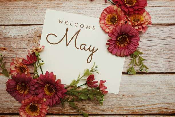 istock Welcome May card typography text with flower bouquet on wooden background 1493697380