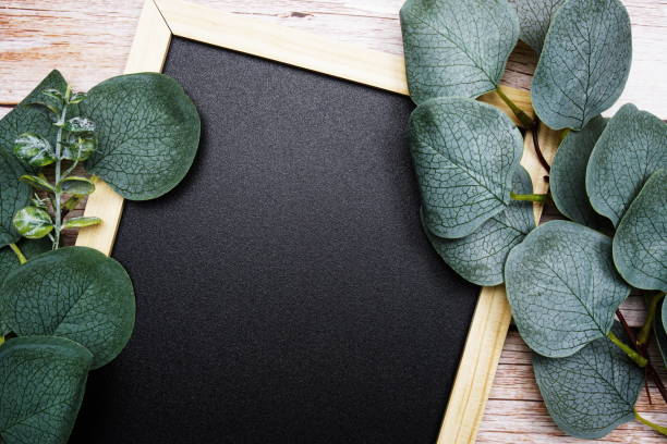 istock Eucalyptus leaves border frame with space copy on wooden background 1493697687