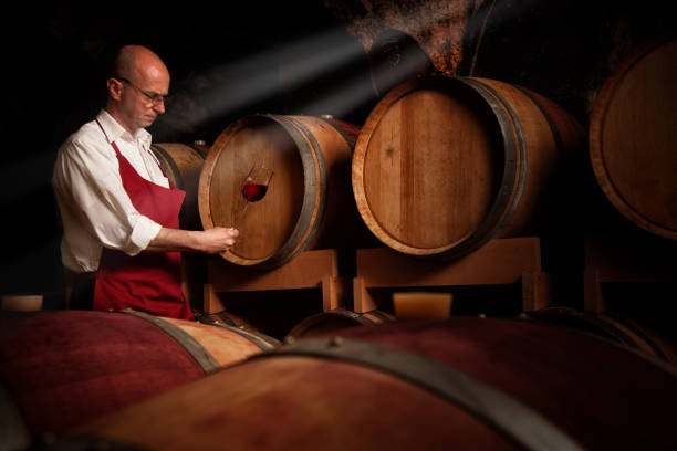 Winemaker is exam his product at Wine cellar Winemaker is exam his product at Wine cellar man wearing a barrel stock pictures, royalty-free photos & images