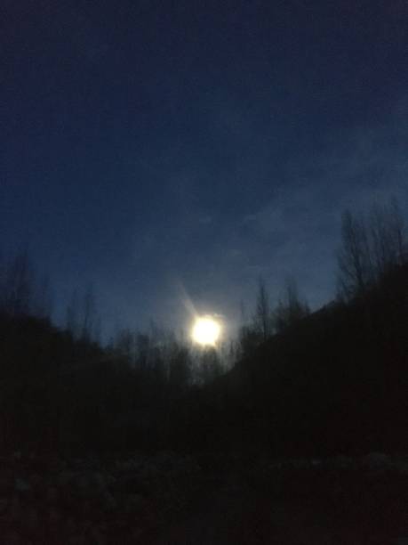 istock moon in the night sky with trees 1493704906