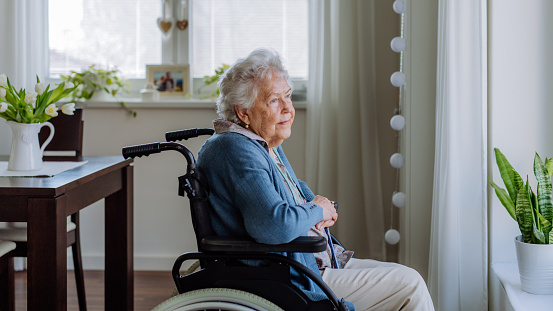 Portrait of senior woman on the wheelchair.