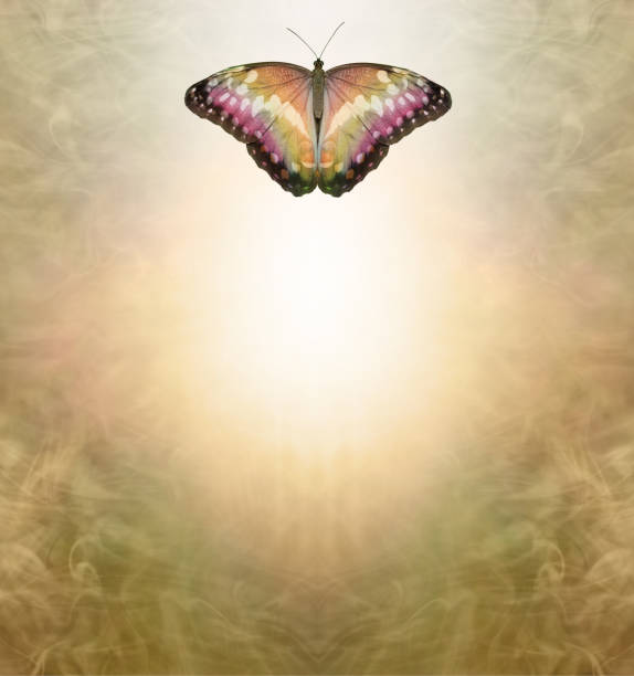 istock Golden Spiritual Butterfly Holistic message memo background 1493705873