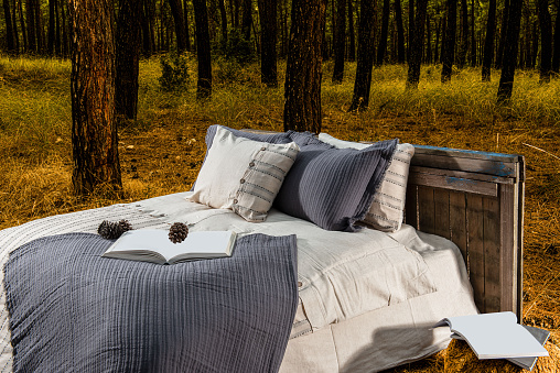 Country Style bed in the forest , at the sun rise in fall