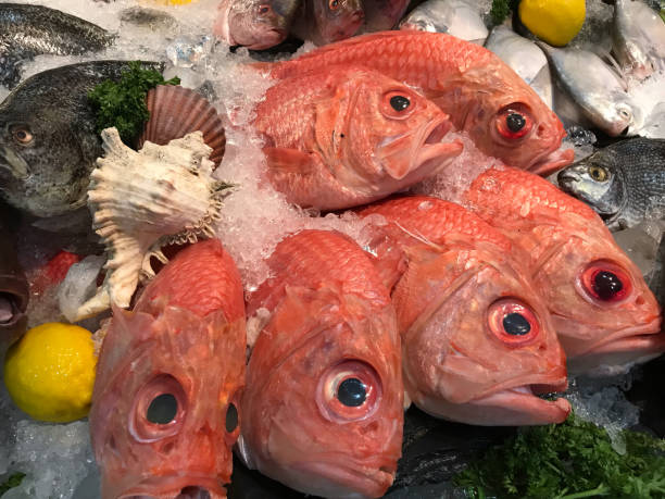 istock Fresh seafood such as fish, shrimp, shellfish, squid beautifully arranged on the ice. 1493711965