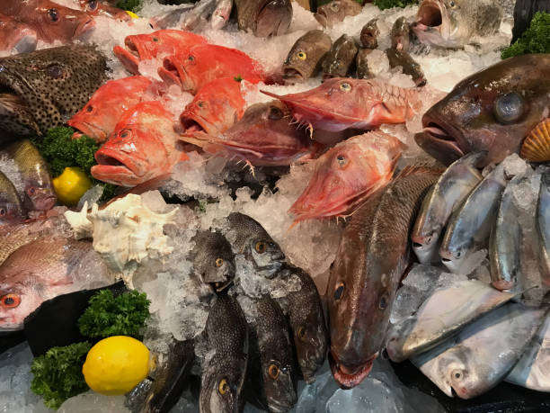 istock Fresh seafood such as fish, shrimp, shellfish, squid beautifully arranged on the ice. 1493712051