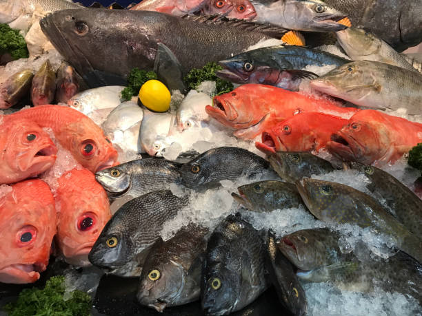 istock Fresh seafood such as fish, shrimp, shellfish, squid beautifully arranged on the ice. 1493712335