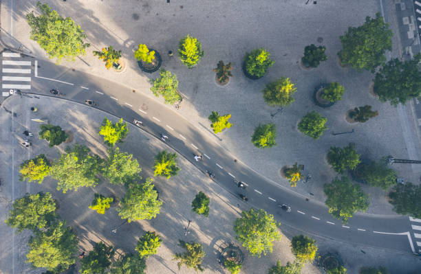 istock Bicyclist on bicycle lane in Copenhagen 1493714100