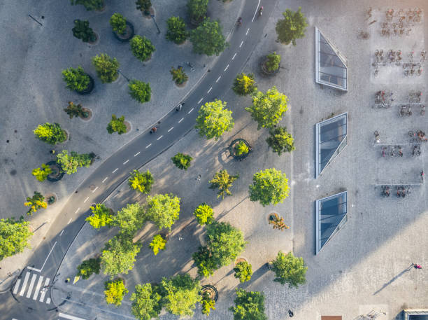 istock Bicyclist on bicycle lane in Copenhagen 1493714358