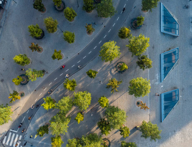 istock Bicyclist on bicycle lane in Copenhagen 1493714401
