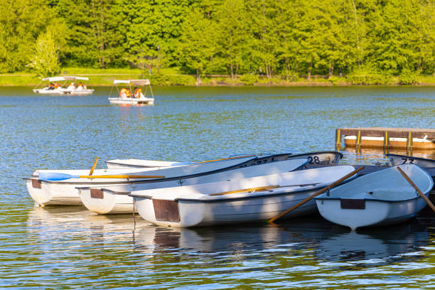 istock empty boat near the pier in the park 1493722091