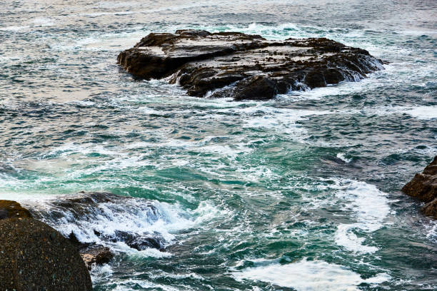 istock Scenic view of ocean with waves  on the rocks 1493723171