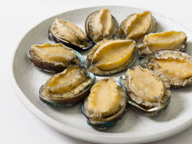 istock Delicious raw abalone in a plate on white table background. 1493725486