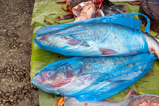 Two fish in blue plastic bags on a banana leaf at the morning food market in Luang Prabang which used to be the capital on Laos