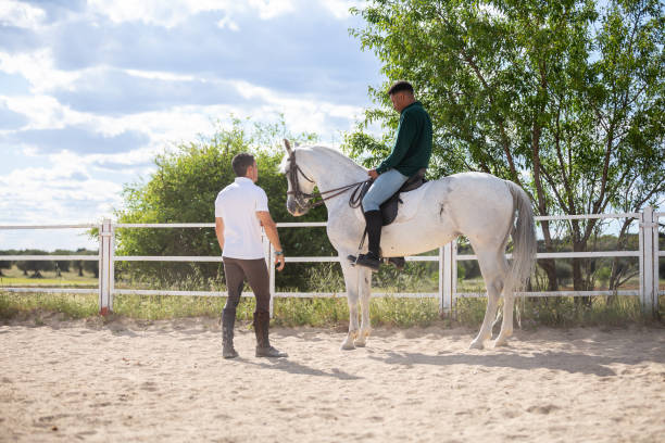 istock Young man teaching black guy to ride horse in paddock on ranch 1493727485