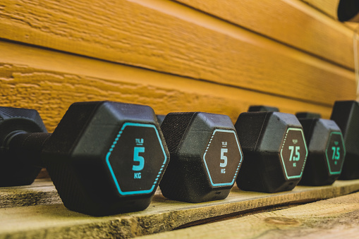 Dumbbell collection for weight training