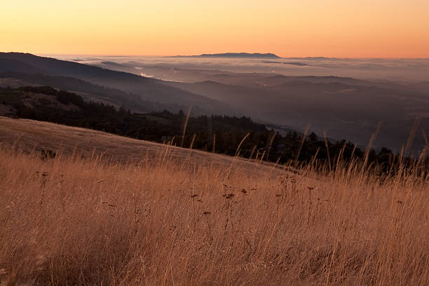 California Bay Area Nebbia al tramonto - foto stock