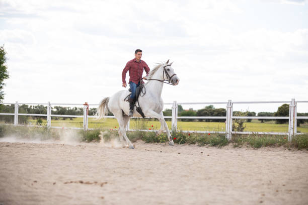 istock Young guy in casual outfit riding white horse on sandy ground 1493729454