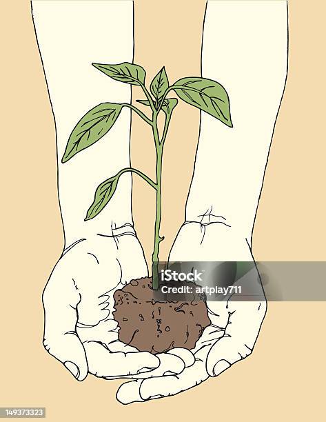 Руки Держа Растение — стоковая векторная графика и другие изображения на тему Иллюстрация - Иллюстрация, Ботаника, Векторная графика