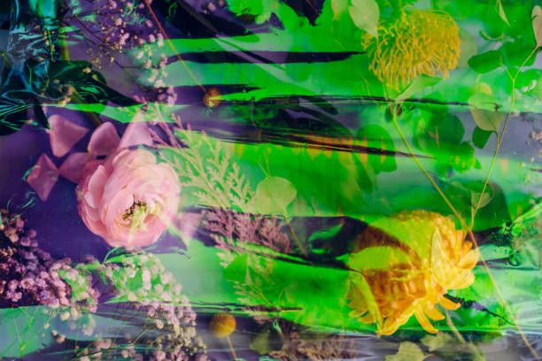 istock Overhead gradient view of variety of flowers (ranunculus, chrysanthemum, gypsophila, eucalyptus) 1493734794