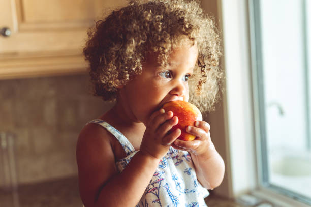 Cute mixed race toddler girl eating a fresh red apple, healthy eating at home stock photo