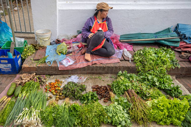 Morning market, Luang Prabang, Laos - March 15th 2023: Female greengrocer waiting for customers in her shop on the ground at the famous morning food market in Luang Prabang which used to be the capital on Laos