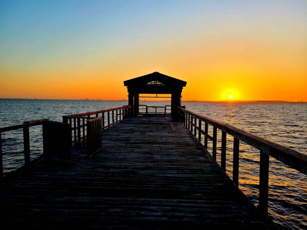 istock Golden Sunrise at the Pier 1493738389
