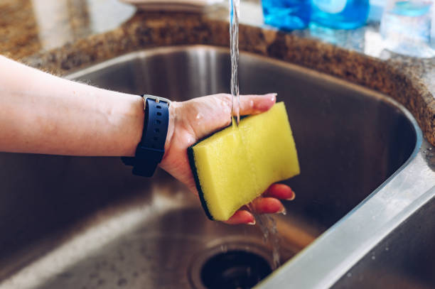 istock Woman’s hand holding a sponge in a domestic sink 1493740668