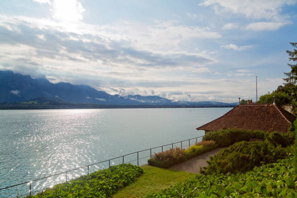 панорамный вид на озеро тун, швейцарские альпы, швейцария - berne switzerland thun jungfrau стоковые фото и изображения