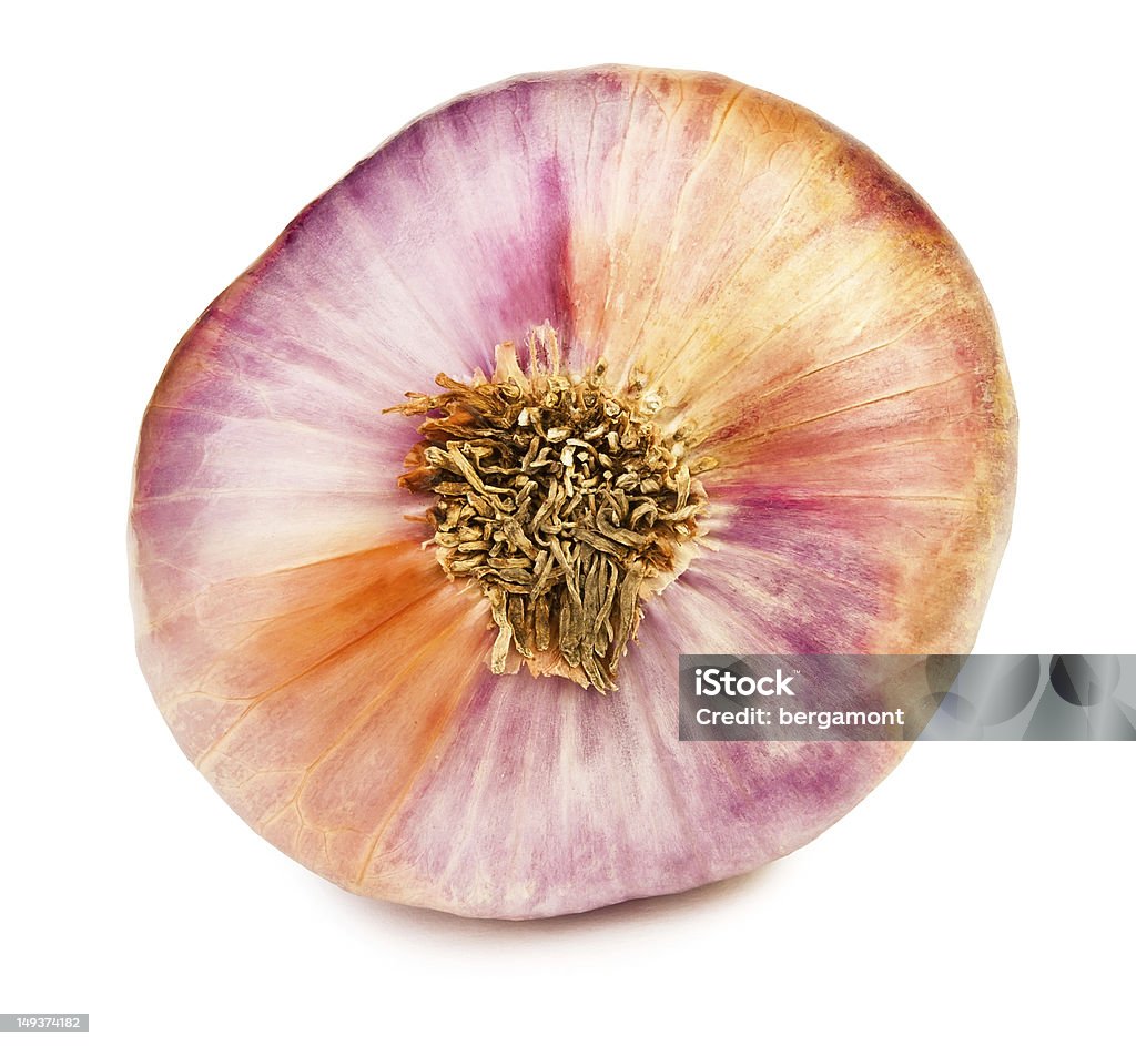 single onion single onion on white background Cut Out Stock Photo